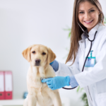 Guia Básico de Especializações em Medicina Veterinária